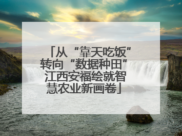 从“靠天吃饭”转向“数据种田” 江西安福绘就智慧农业新画卷
