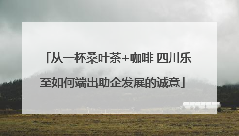 从一杯桑叶茶+咖啡 四川乐至如何端出助企发展的诚意
