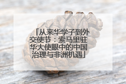 从来华学子到外交使节：索马里驻华大使眼中的中国治理与非洲机遇