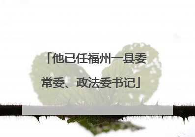 他已任福州一县委常委、政法委书记