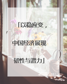 以稳应变，中国经济展现韧性与潜力