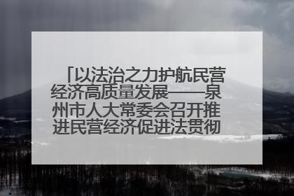 以法治之力护航民营经济高质量发展——泉州市人大常委会召开推进民营经济促进法贯彻实施座谈会