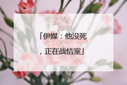 伊媒：他没死，正在战情室