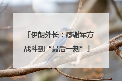 伊朗外长：感谢军方战斗到“最后一刻”