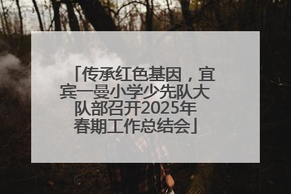 传承红色基因，宜宾一曼小学少先队大队部召开2025年春期工作总结会