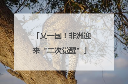 又一国！非洲迎来“二次觉醒”