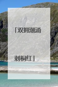 双拥潮涌刺桐红
