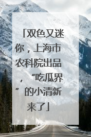 双色又迷你，上海市农科院出品，“吃瓜界”的小清新来了