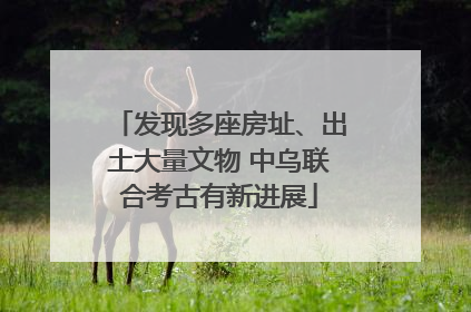 发现多座房址、出土大量文物 中乌联合考古有新进展
