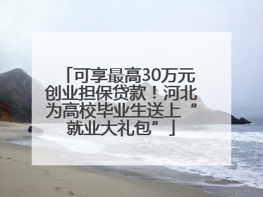 可享最高30万元创业担保贷款！河北为高校毕业生送上“就业大礼包”