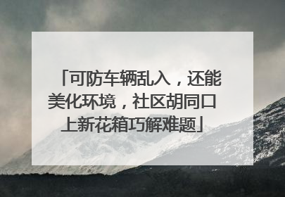 可防车辆乱入，还能美化环境，社区胡同口上新花箱巧解难题