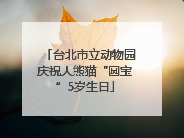 台北市立动物园庆祝大熊猫“圆宝”5岁生日