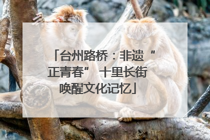 台州路桥：非遗“正青春” 十里长街唤醒文化记忆