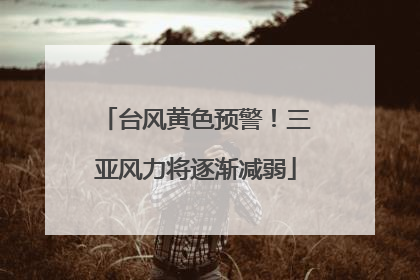 台风黄色预警！三亚风力将逐渐减弱
