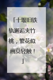 十堰旧铁轨邂逅夹竹桃，繁花似画莫轻触！