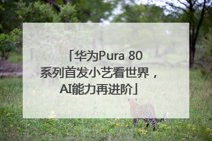 华为Pura 80系列首发小艺看世界，AI能力再进阶