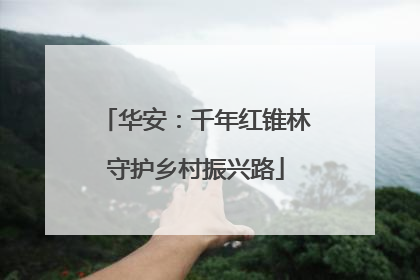 华安：千年红锥林守护乡村振兴路
