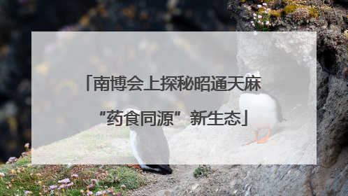 南博会上探秘昭通天麻“药食同源”新生态