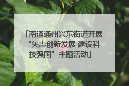 南通通州兴东街道开展“矢志创新发展 建设科技强国”主题活动