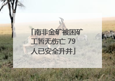 南非金矿被困矿工暂无伤亡 79人已安全升井