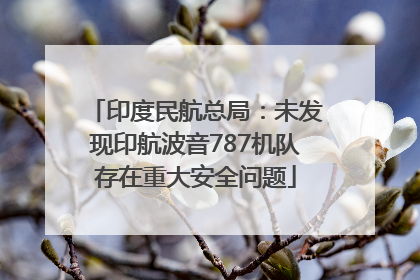 印度民航总局：未发现印航波音787机队存在重大安全问题