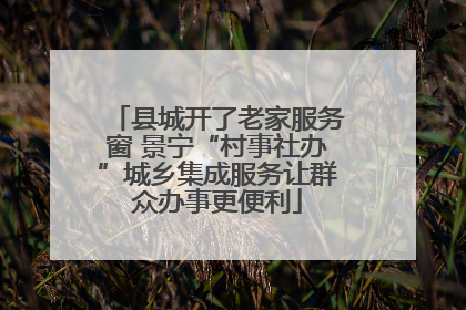 县城开了老家服务窗 景宁“村事社办”城乡集成服务让群众办事更便利