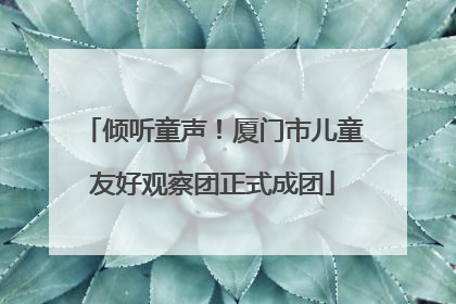倾听童声！厦门市儿童友好观察团正式成团