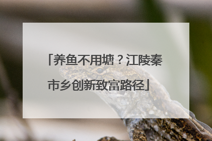 养鱼不用塘？江陵秦市乡创新致富路径