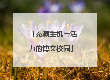 充满生机与活力的博文校园