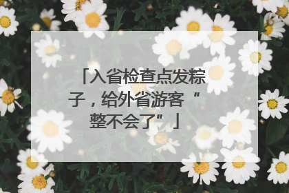 入省检查点发粽子，给外省游客“整不会了”