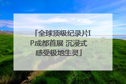 全球顶级纪录片IP成都首展 沉浸式感受极地生灵