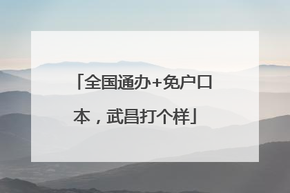 全国通办+免户口本，武昌打个样