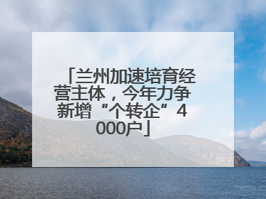 兰州加速培育经营主体，今年力争新增“个转企”4000户