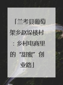 兰考县葡萄架乡赵垛楼村：乡村电商里的“甜蜜”创业路
