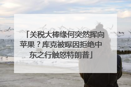 关税大棒缘何突然挥向苹果？库克被曝因拒绝中东之行触怒特朗普