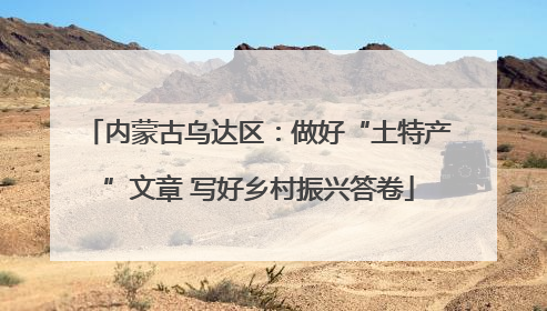 内蒙古乌达区：做好“土特产”文章 写好乡村振兴答卷