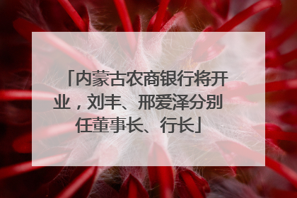 内蒙古农商银行将开业，刘丰、邢爱泽分别任董事长、行长