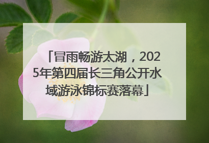 冒雨畅游太湖，2025年第四届长三角公开水域游泳锦标赛落幕