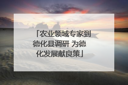 农业领域专家到德化县调研 为德化发展献良策