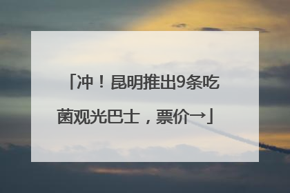 冲！昆明推出9条吃菌观光巴士，票价→
