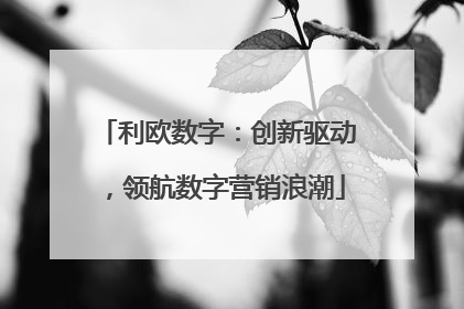利欧数字：创新驱动，领航数字营销浪潮