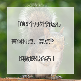 前5个月外贸运行有何特点、亮点?一组数据带你看