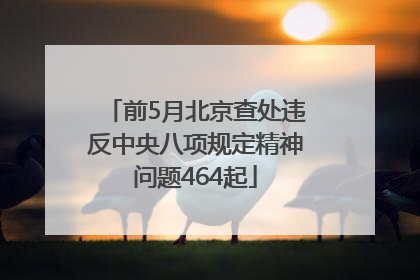 前5月北京查处违反中央八项规定精神问题464起