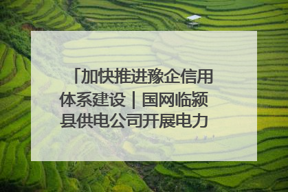 加快推进豫企信用体系建设｜国网临颍县供电公司开展电力行业信用企业现场咨询访谈工作