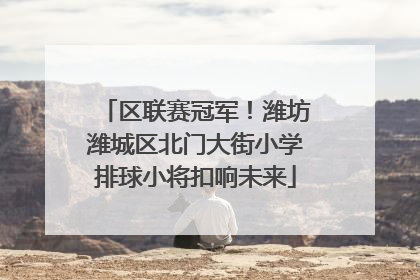 区联赛冠军！潍坊潍城区北门大街小学排球小将扣响未来