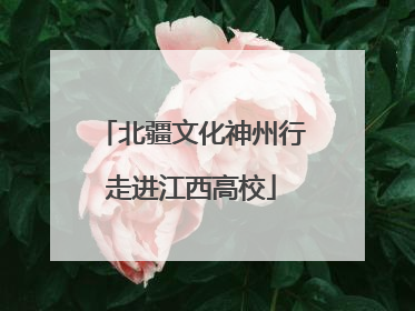 北疆文化神州行走进江西高校
