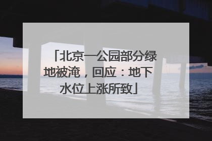 北京一公园部分绿地被淹，回应：地下水位上涨所致