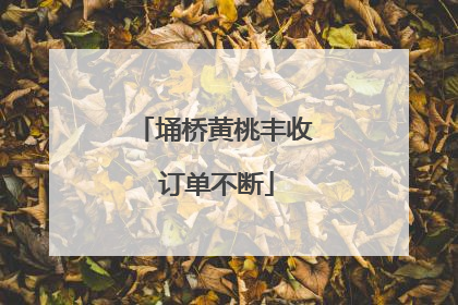 埇桥黄桃丰收 订单不断