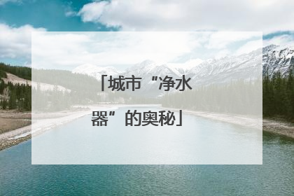 城市“净水器”的奥秘