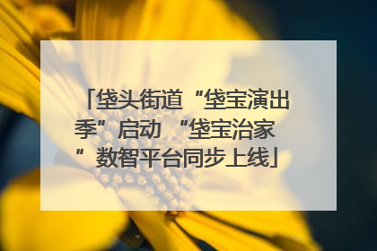 垡头街道“垡宝演出季”启动 “垡宝治家”数智平台同步上线